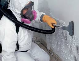 Best Industrial Mold Remediation  in Frazeysburg, OH